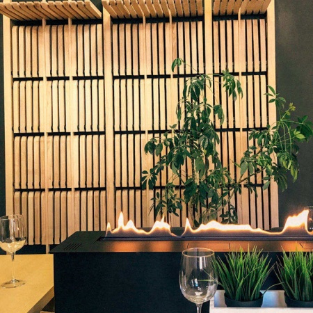 Автоматический биокамин 800 Premium по цене 327 732 руб.